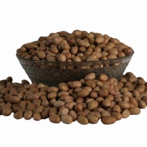 Groundnut